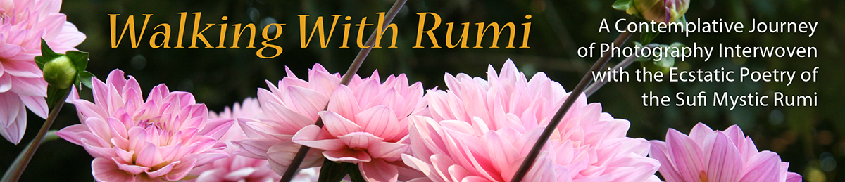Walking With Rumi