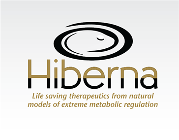 Logo Design: “Hiberna Therapeutics”