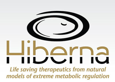 Logo Design: “Hiberna Therapeutics”