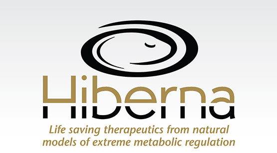 Logo Design: “Hiberna Therapeutics”