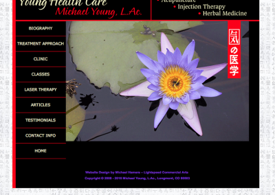 Web Design: “Acupuncturist / Young Healthcare
