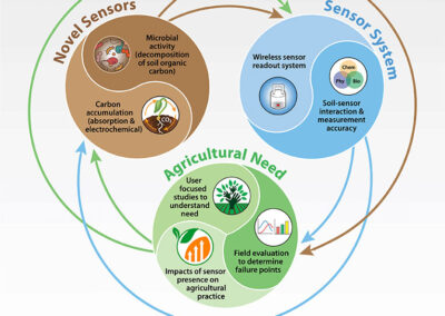 Infographic: SitS: Scaleable Sensor-based Evaluation of Soil Carbon and Microbial Changes
